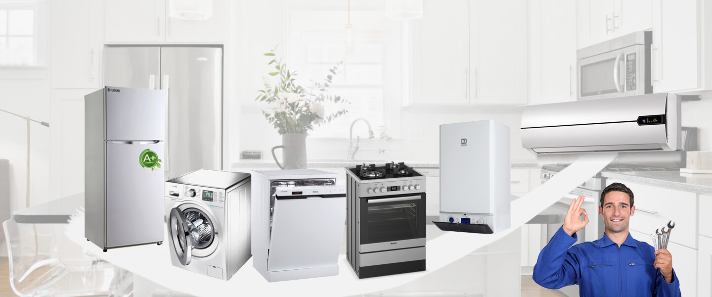 Bahçe Warmhaus Servisi